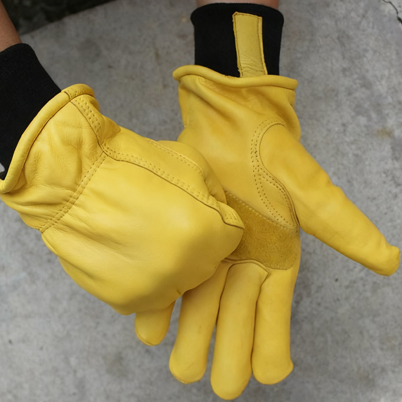Heren motorfiets winterhandsch - Winter Glove Insulated recensie en prijs
