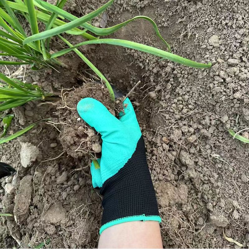 Tuinhandschoenen met ingebouwd - Gardening Glove Waterproof recensie en prijs